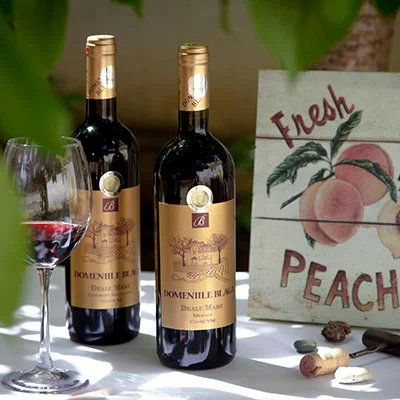 11月17日|20.6M/S，V2ray节点/SSR节点/Clash节点/Shadowrocket节点|免费订阅机场|每天更新免费梯子